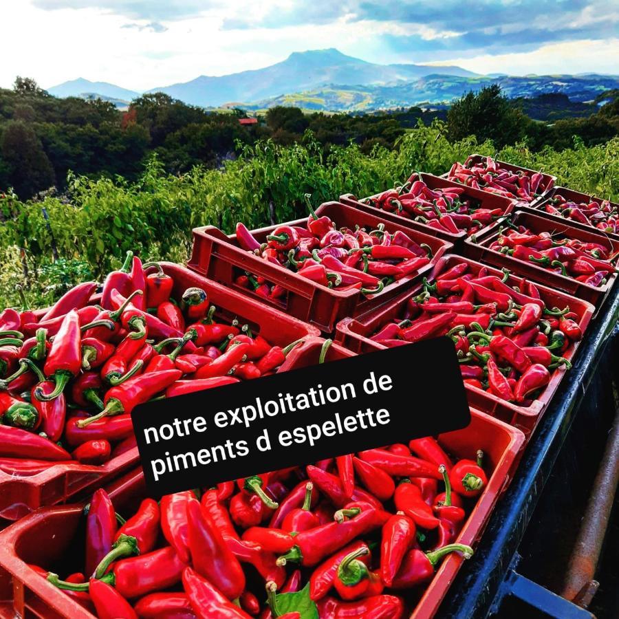 Maison Errientania Souraïde Esterno foto
